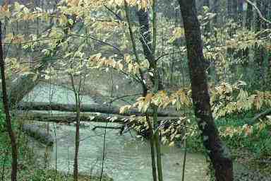 Flood waters